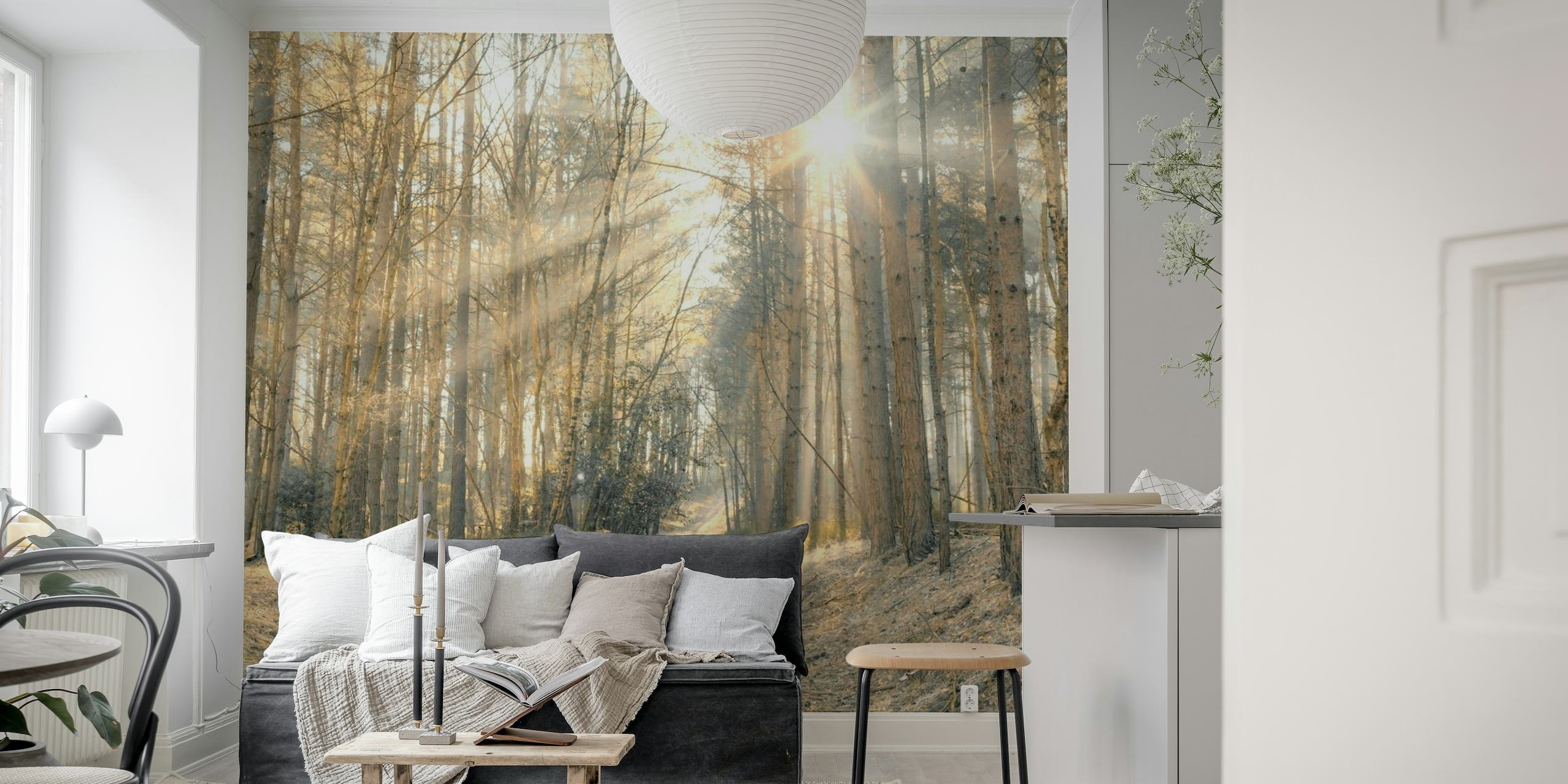 Sun Rays Painting the Forest papel de parede