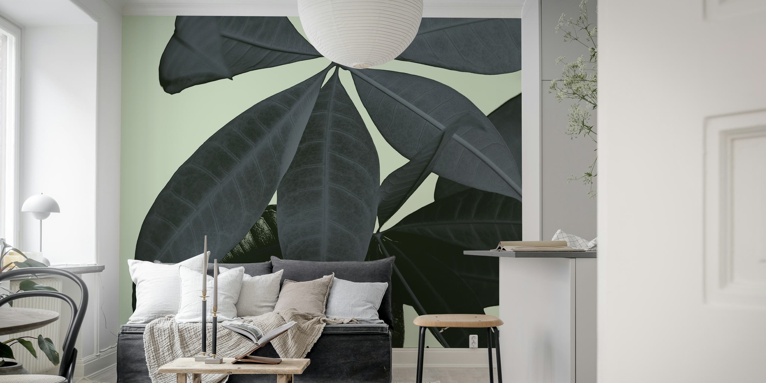 Pachira Aquatica 3 wallpaper in a room