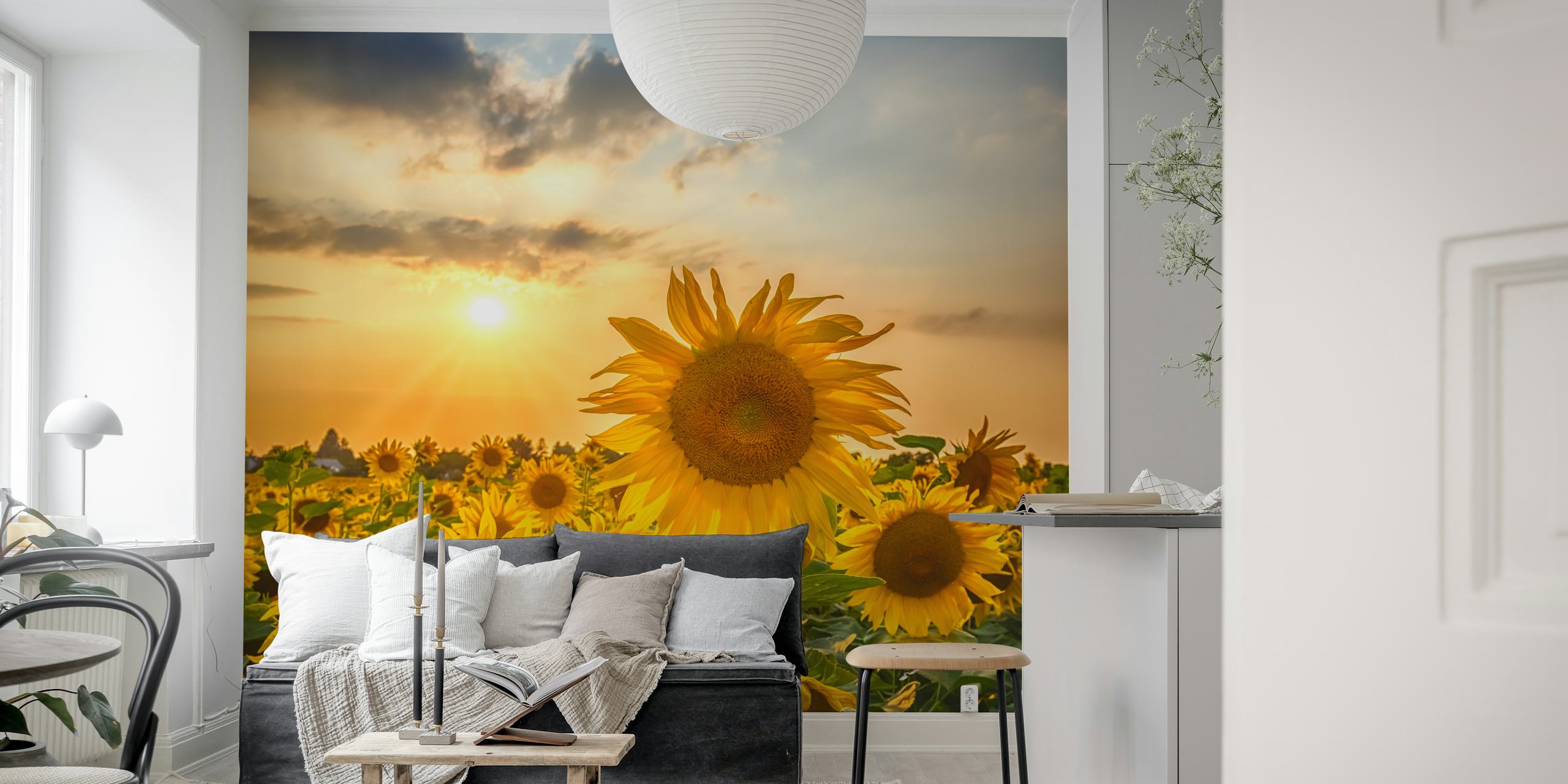 Vibrant sunflower field at sunset with a warm golden glow wallpaper