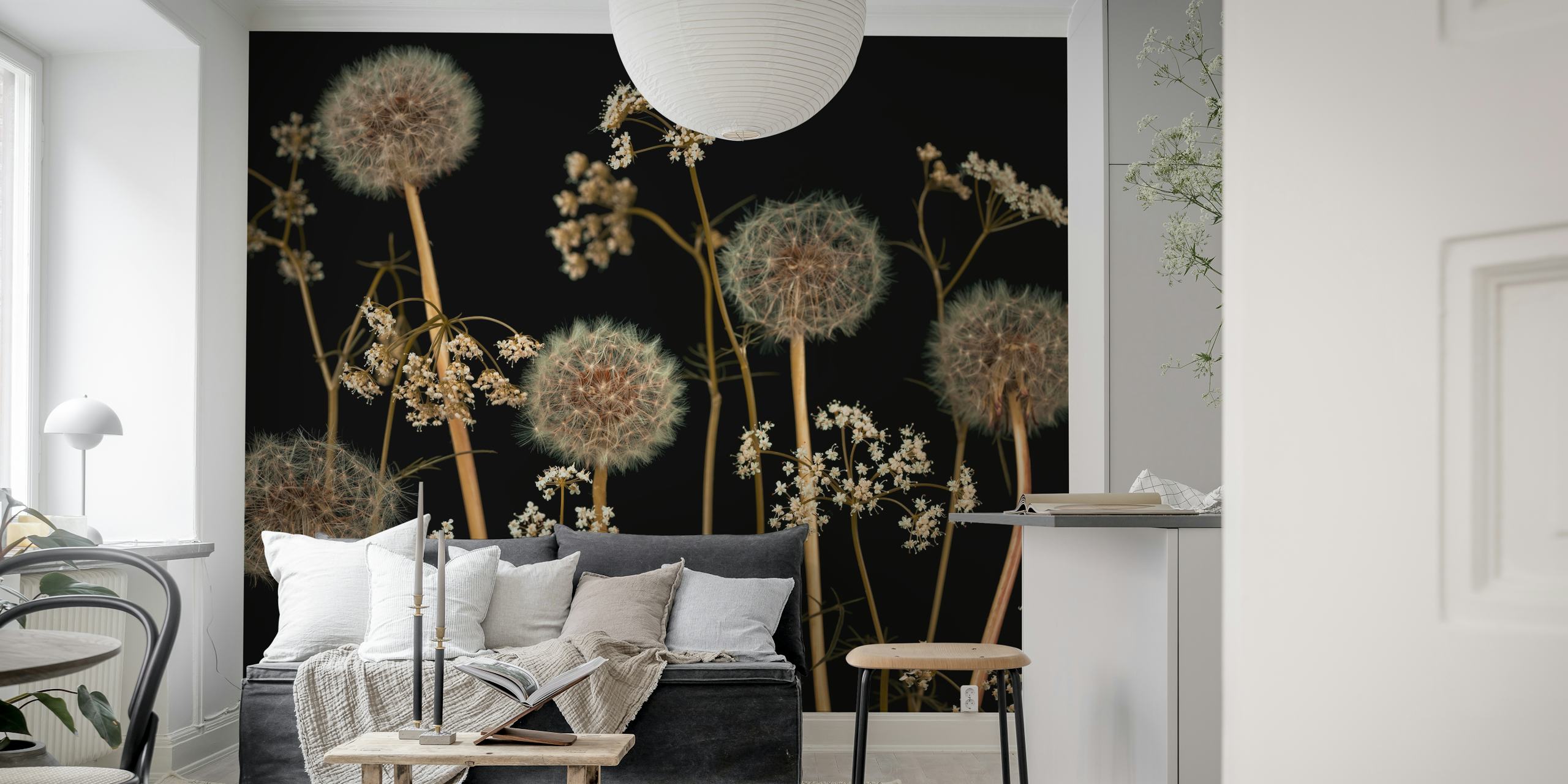 Dandelion flowers with intricate white blossoms on black background wallpaper