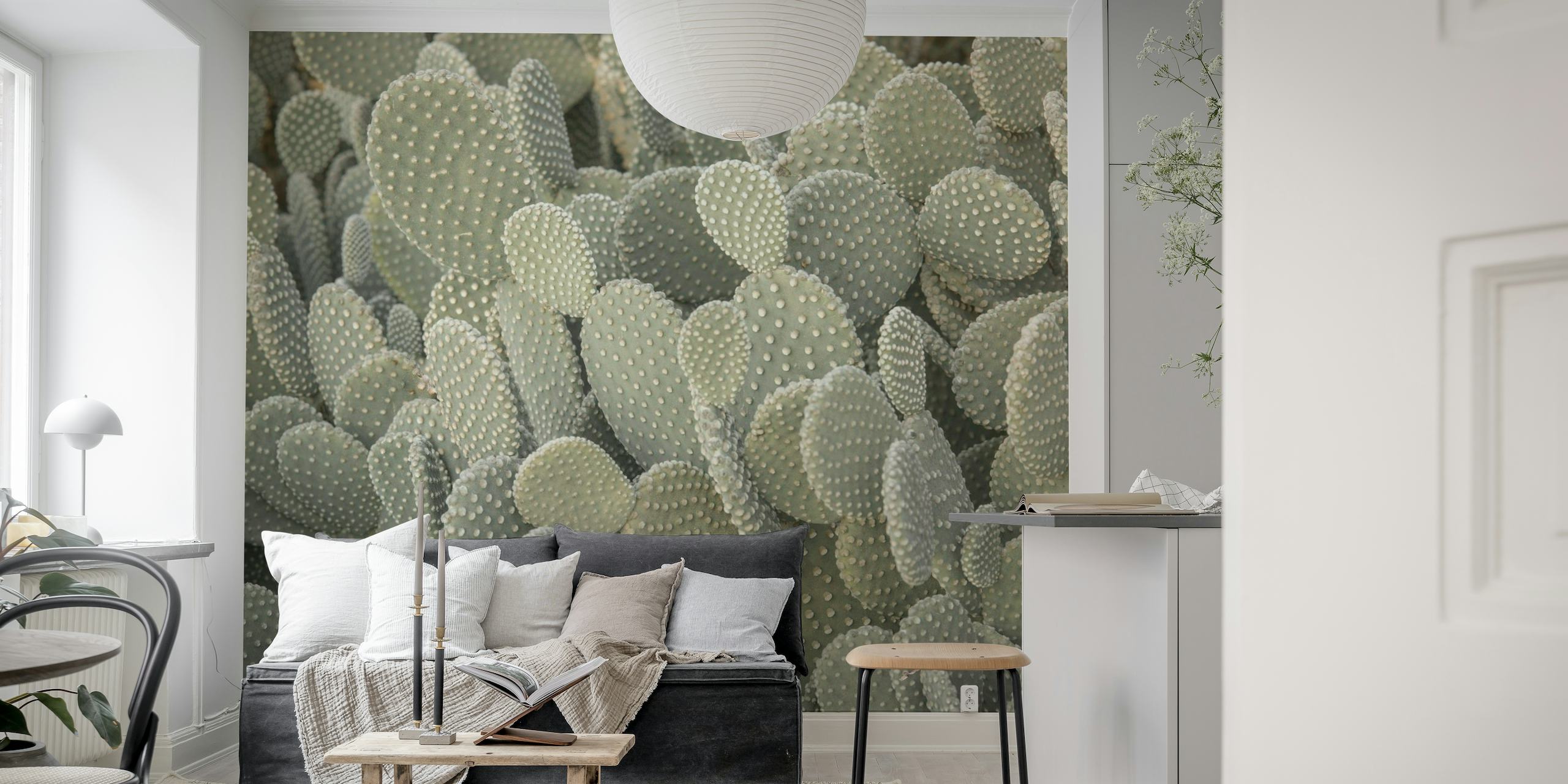 Cactus plant 4 wallpaper