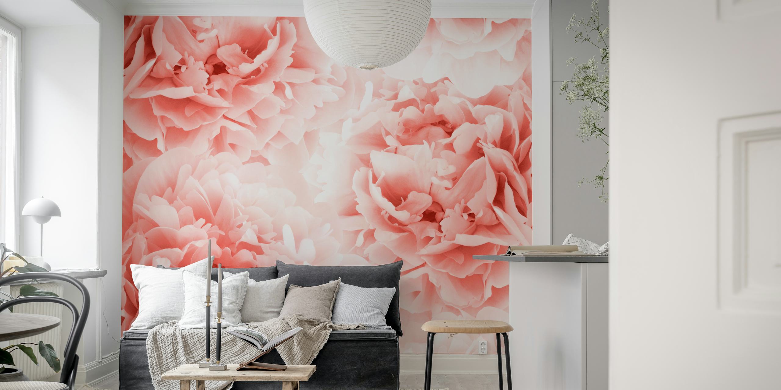 Coral peony flowers in full bloom wallpaper