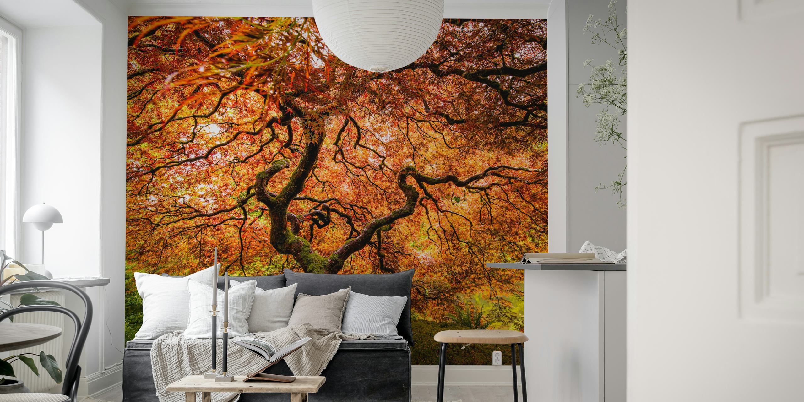 Wall mural of an old maple tree with autumn leaves
