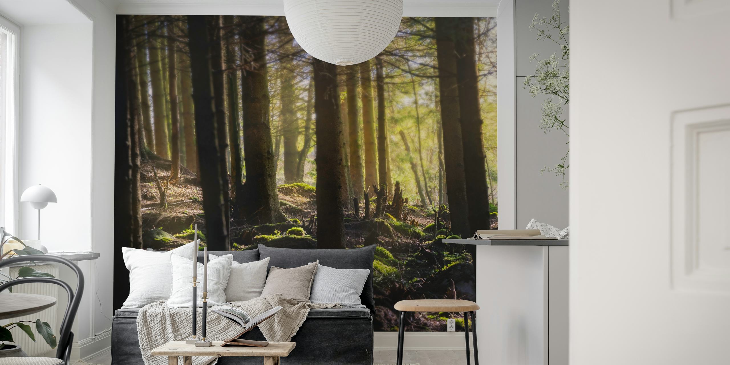 Forest lights wallpaper in a room