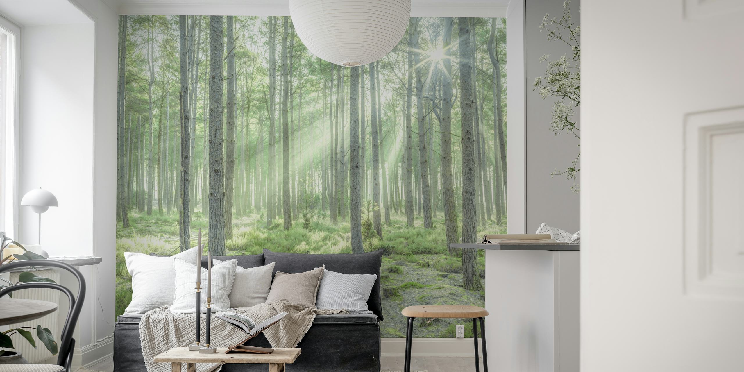 Forest Sunburst wallpaper in a room