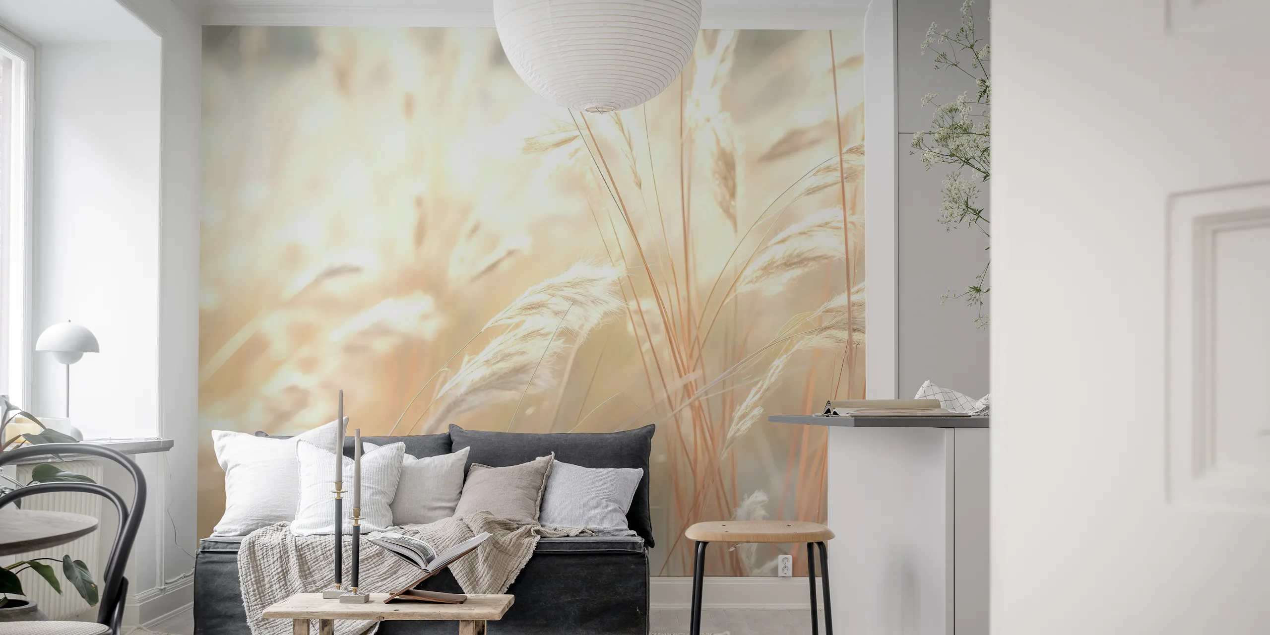 Buy Radiant Fluff Wallpaper Online | Happywall
