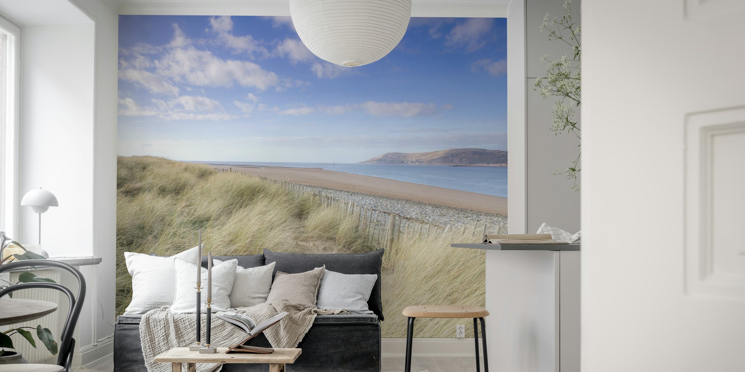 Fond d'écran de dunes de plage avec herbe côtière et vue sur la mer