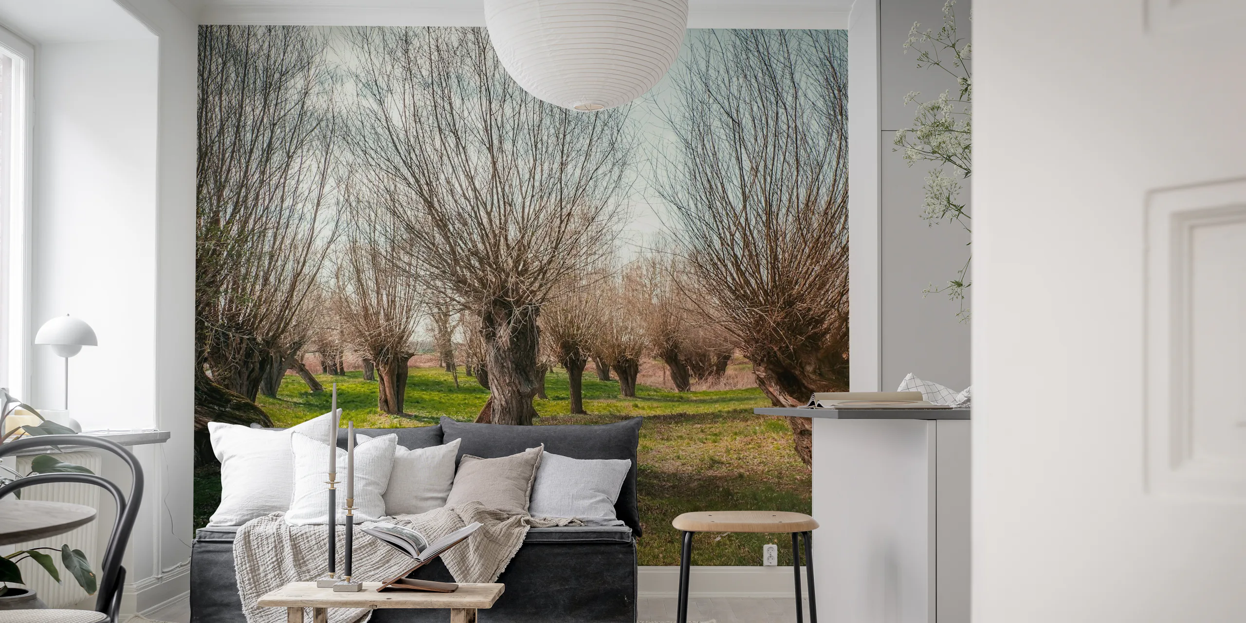 Spring Magical Trees Wallpaper | Happywall.com