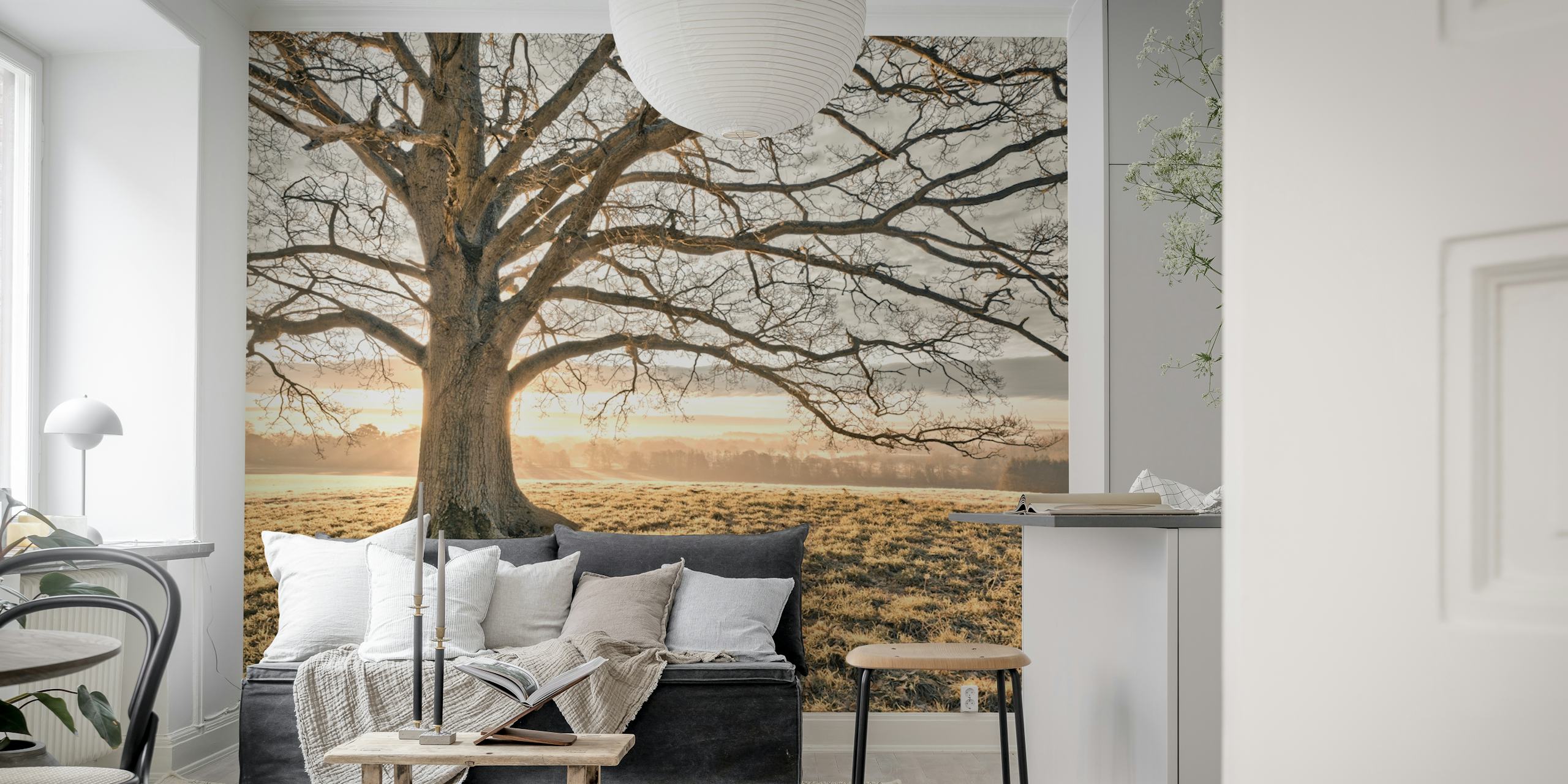 Lonely tree in a sunlit meadow wallpaper