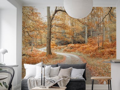 Woodland Journey