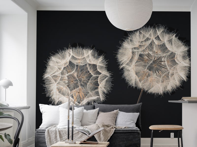 Dandelion Clock