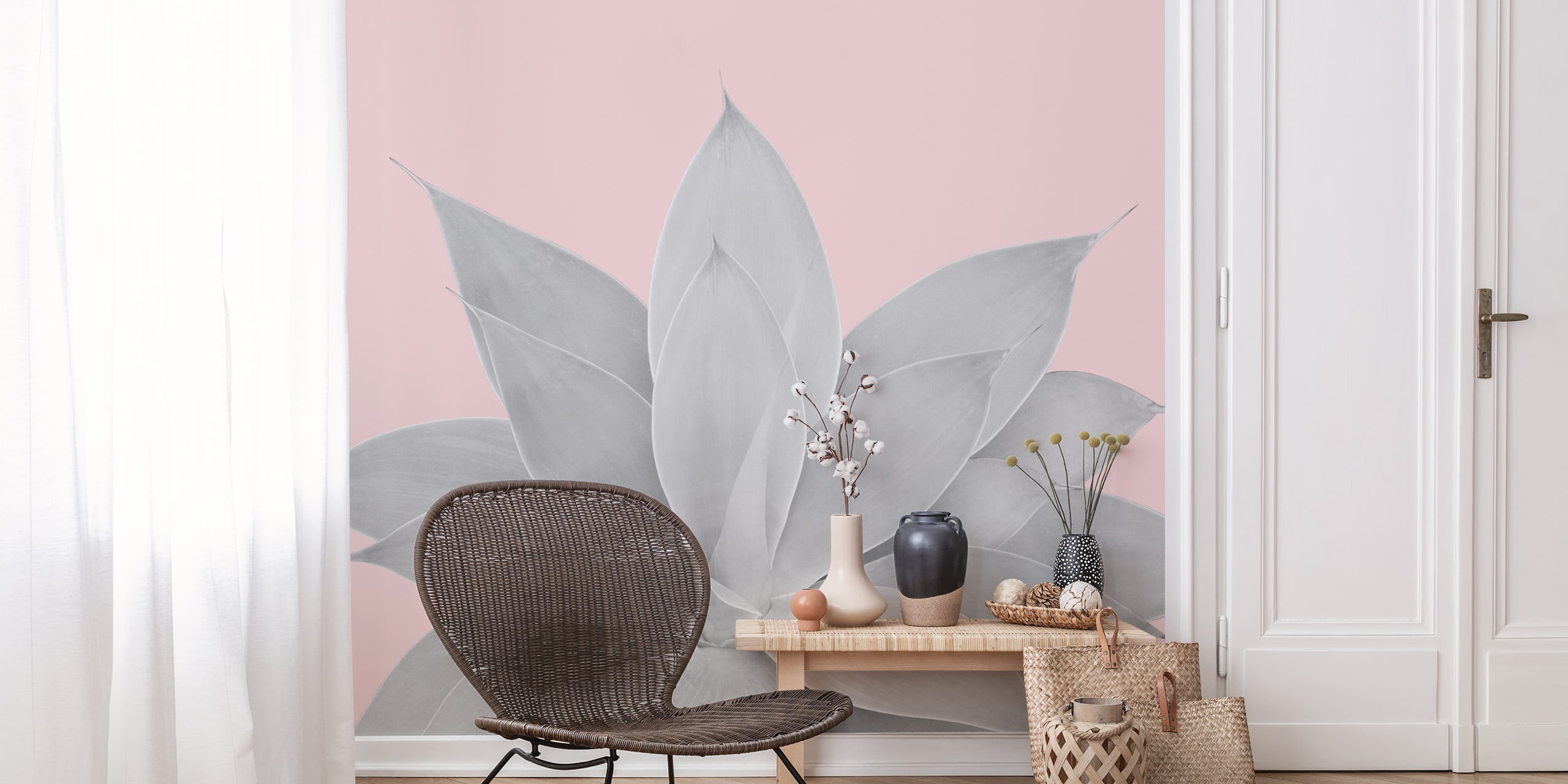 Large agave plant leaves in gray on a blush background wallpaper