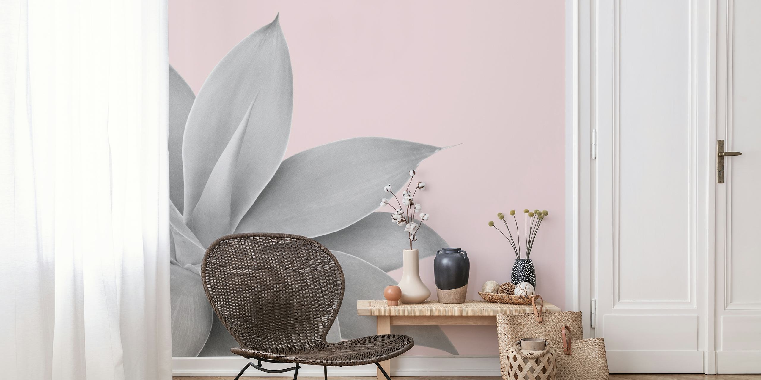 Agave plant grayscale illustration on soft pink background wall mural