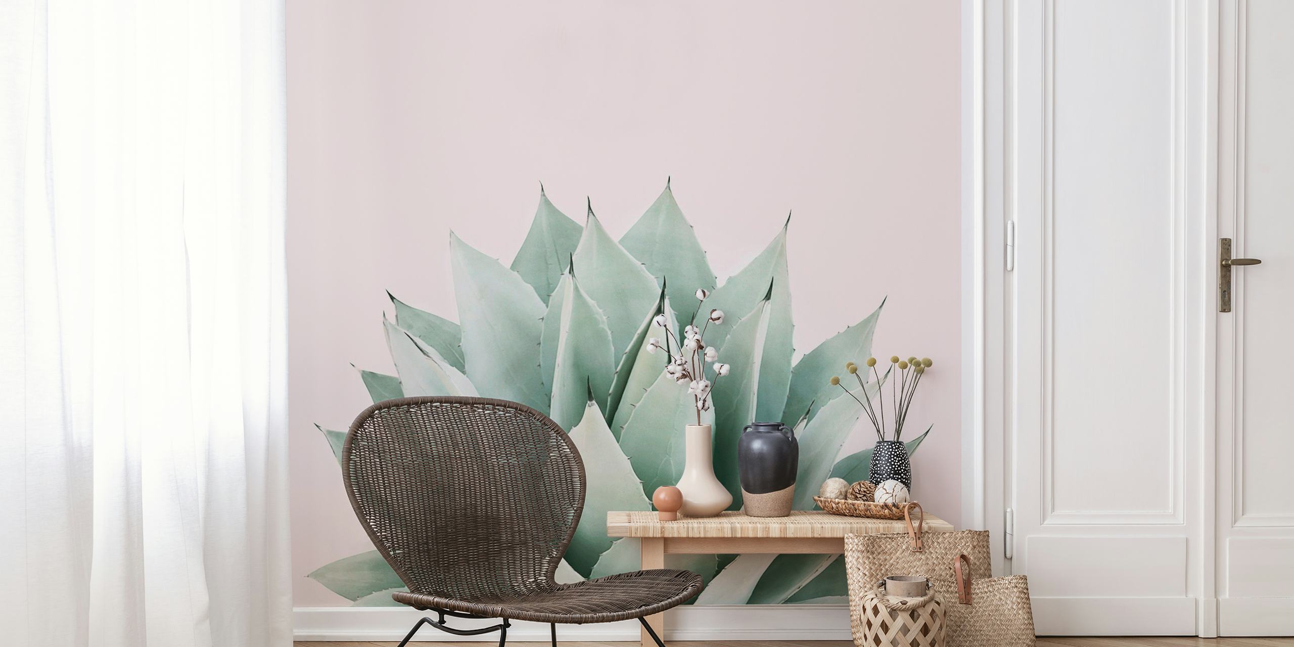 Agave on Pink Wallpaper | Buy Online at Happywall