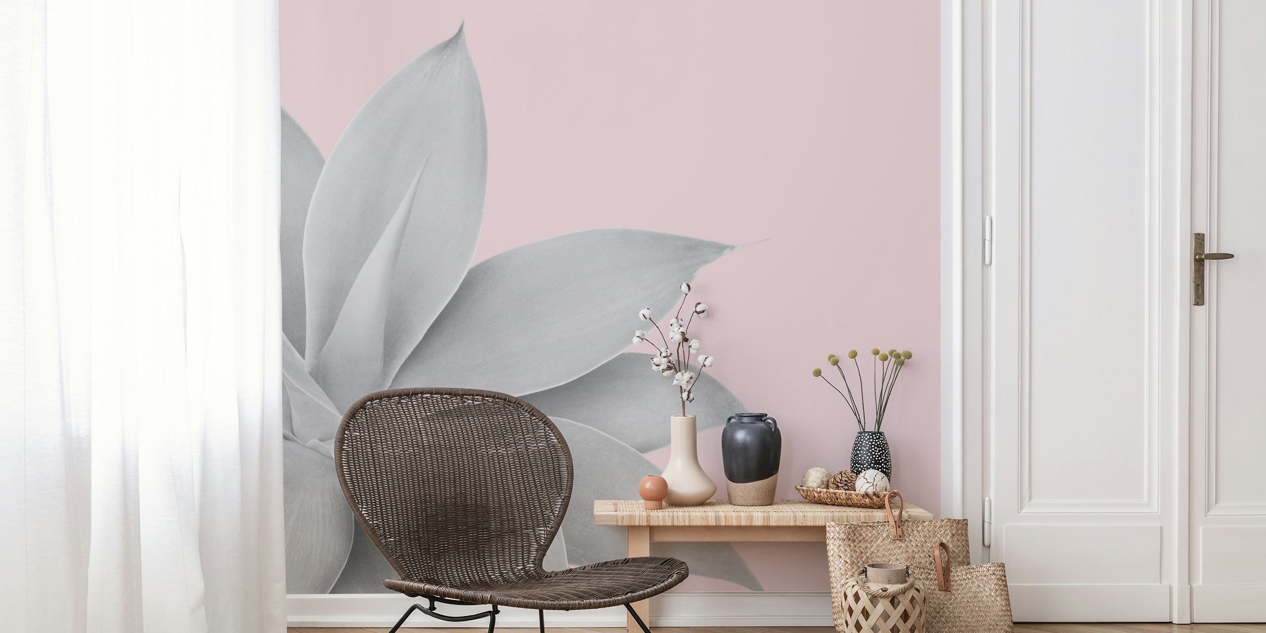 Silhouette of agave plant leaves in grey against pink wallpaper