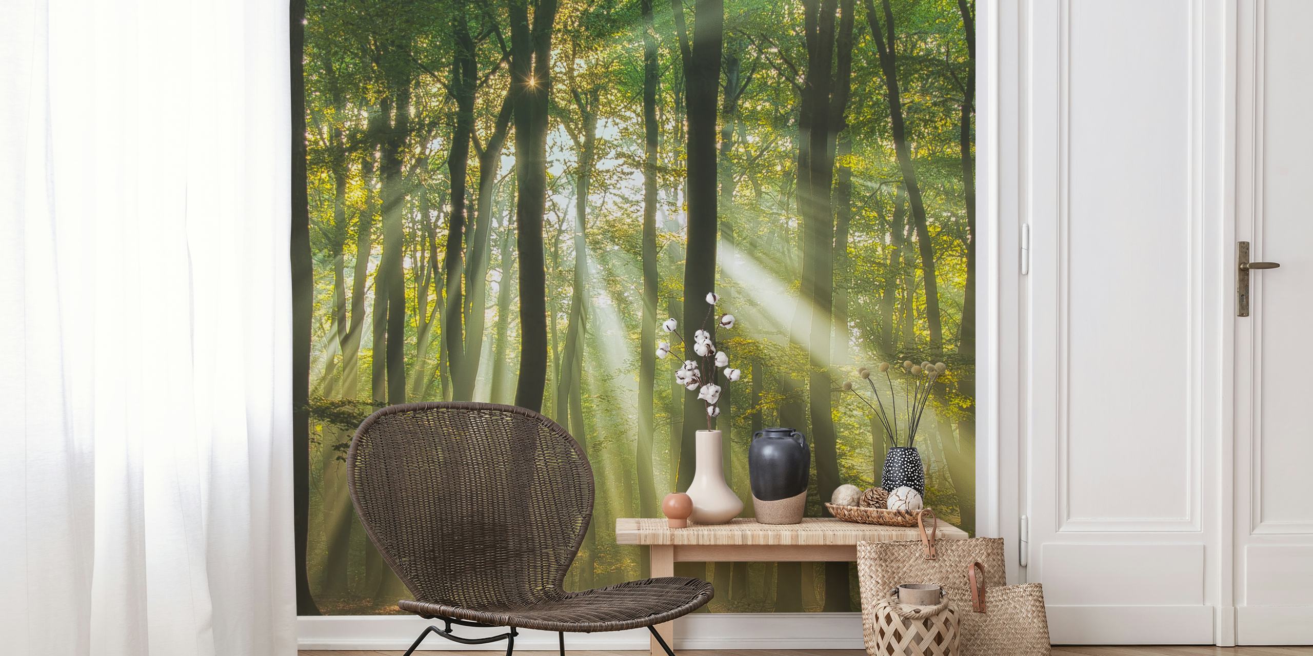 Sunlight streaming through trees in a forest wallpaper