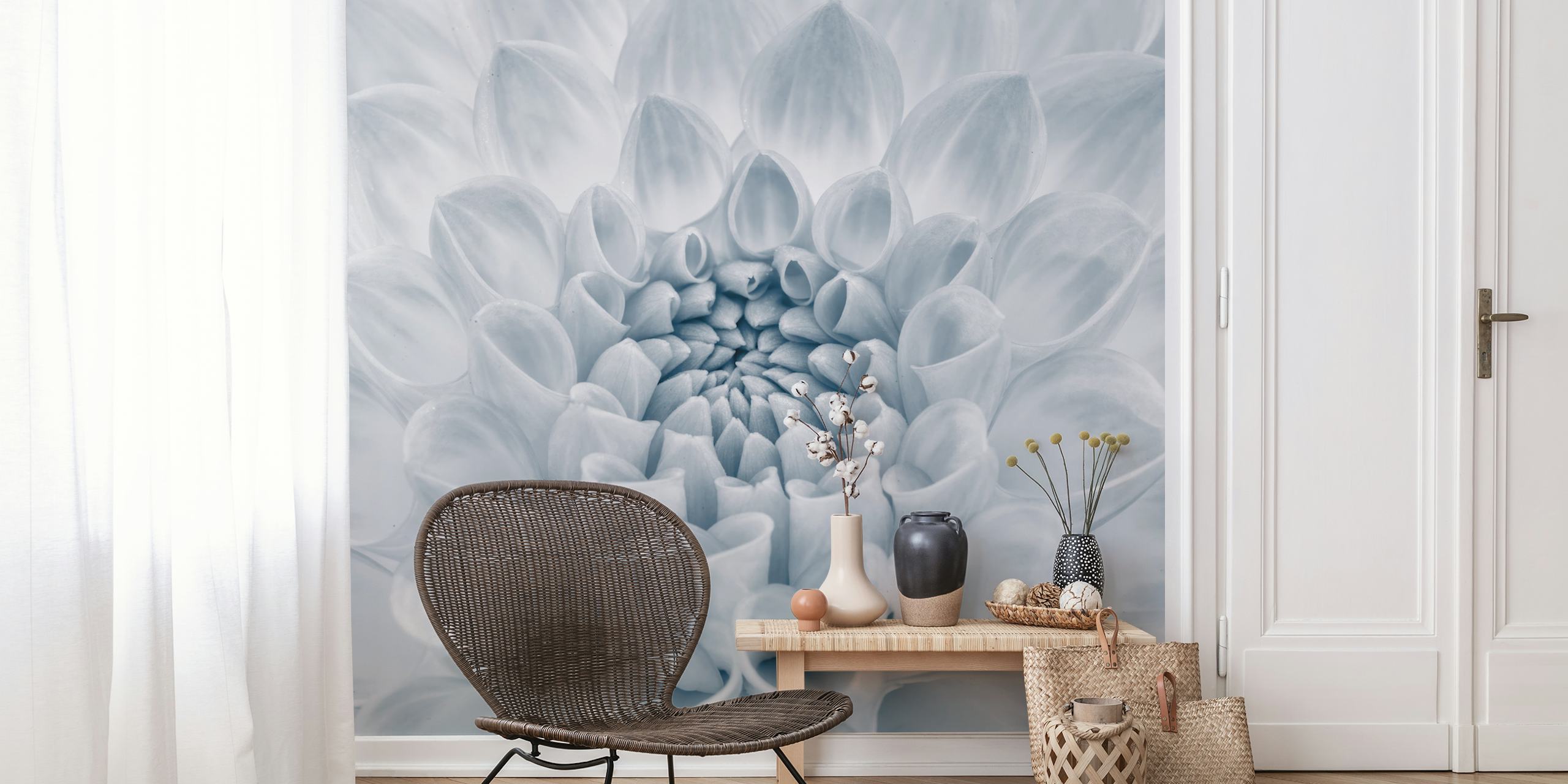Close-up of a white dahlia flower, intricate petals, floral wallpaper
