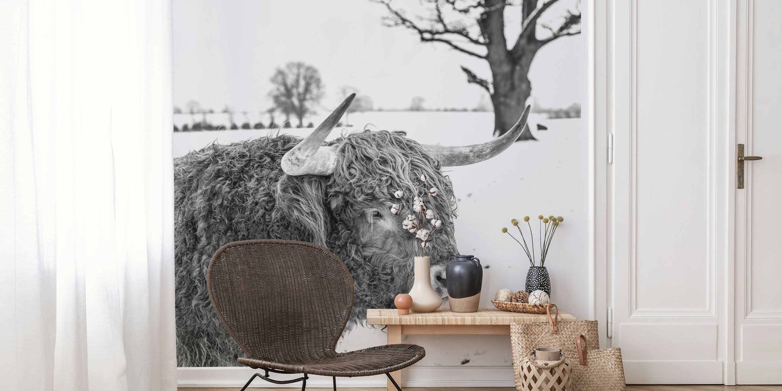 Iconic Highland Cow wallpaper in a room