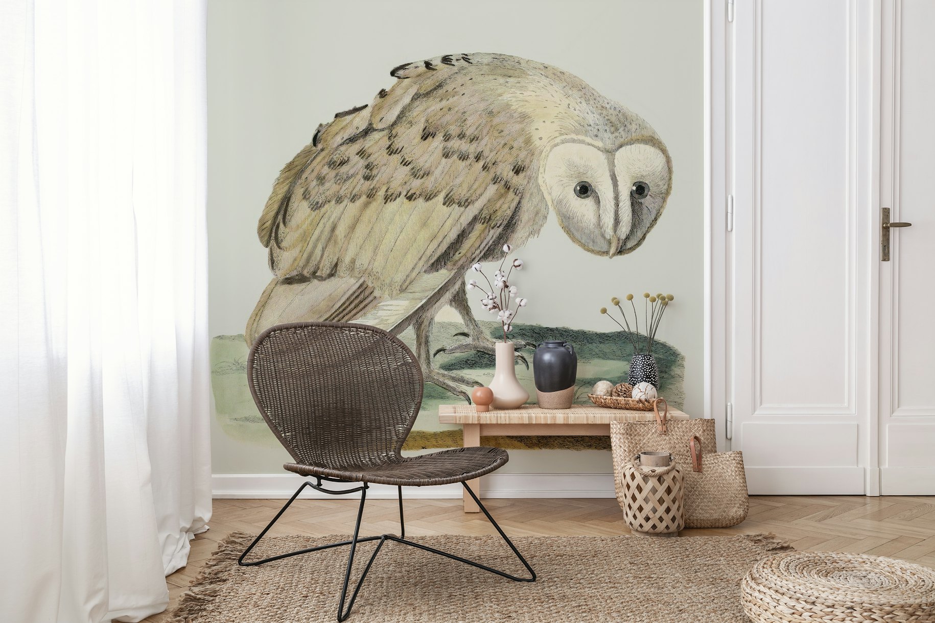 The white owl wallpaper
