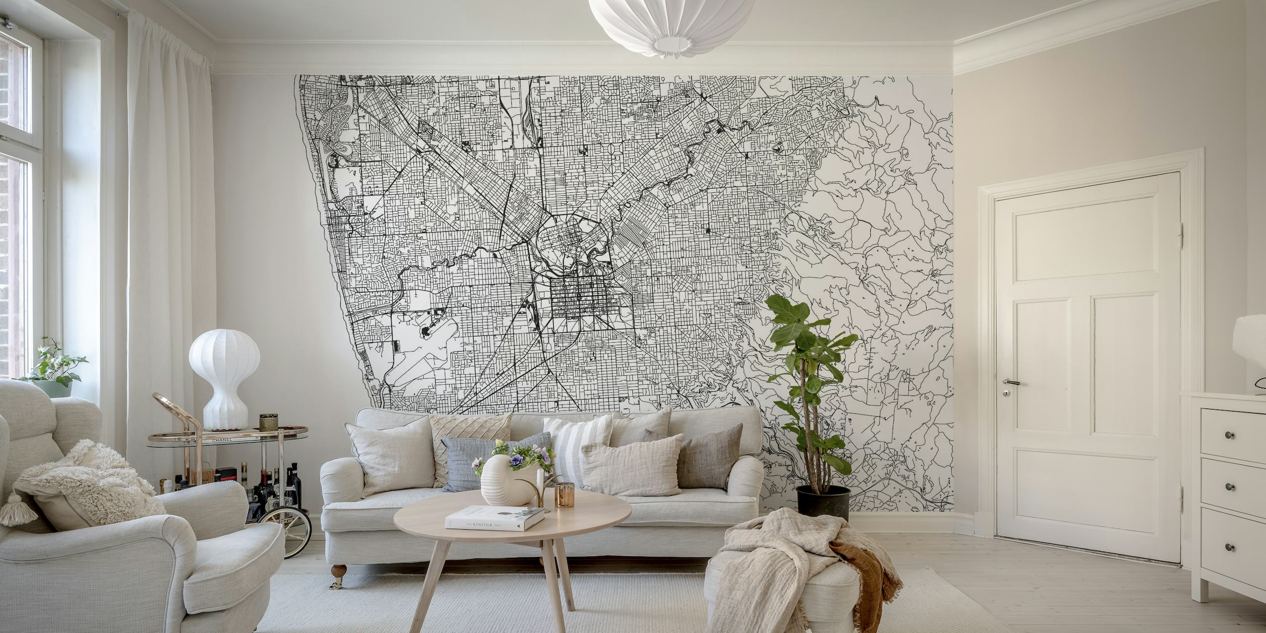 Detailed and attractive portrayal of Adelaide Map Wall Mural