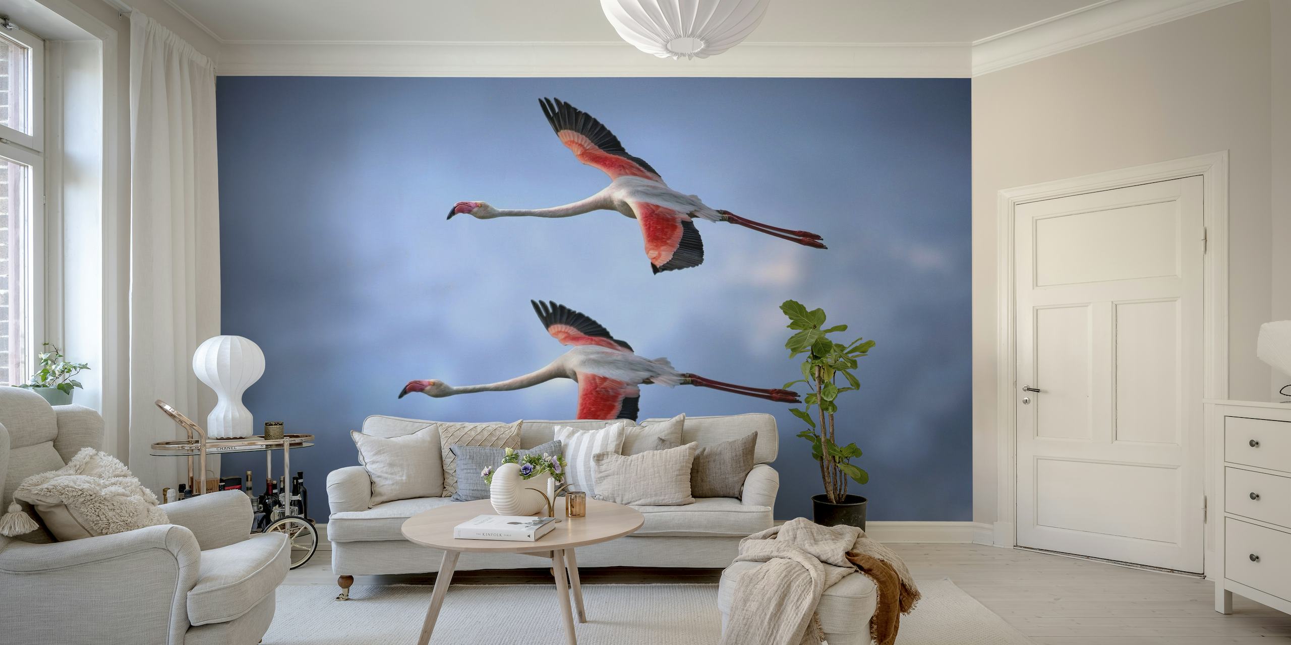 Greater Flamingos papel de parede