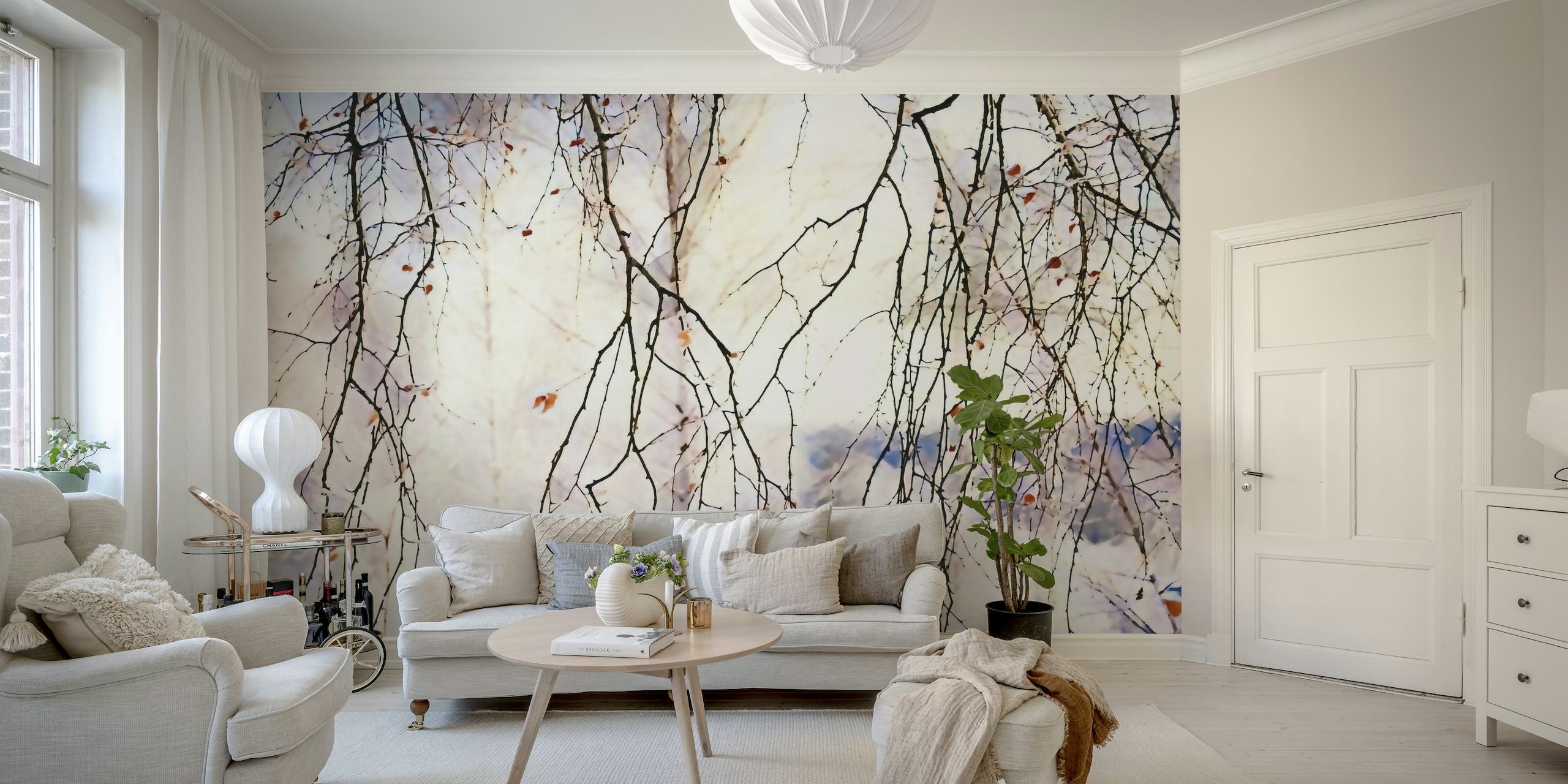 Berkenboom fotobehang met ineengestrengelde takken en een zachte winterzonsondergang op de achtergrond