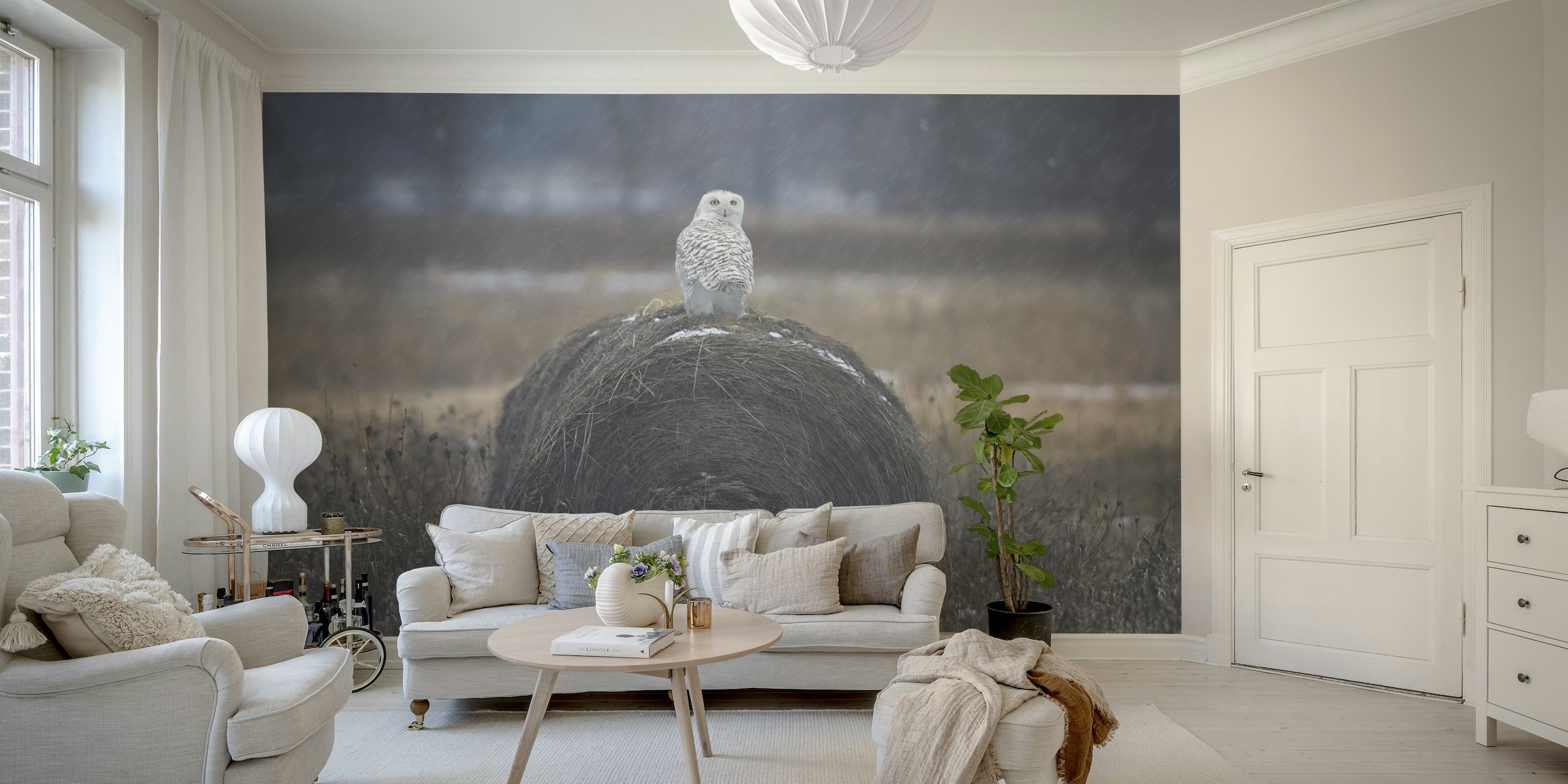 Rauhallinen lumipöllö "Prinsessa" heinäpaalin seinämaalauksessa