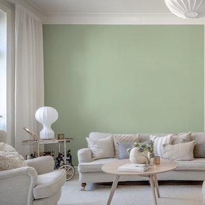 Blush Green solid color wallpaper