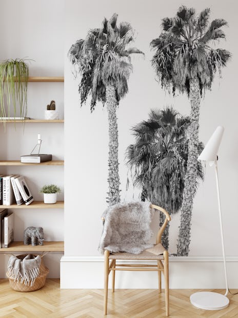 schermutseling nikkel Kalksteen Palm Trees 4A Wallpaper - Happywall