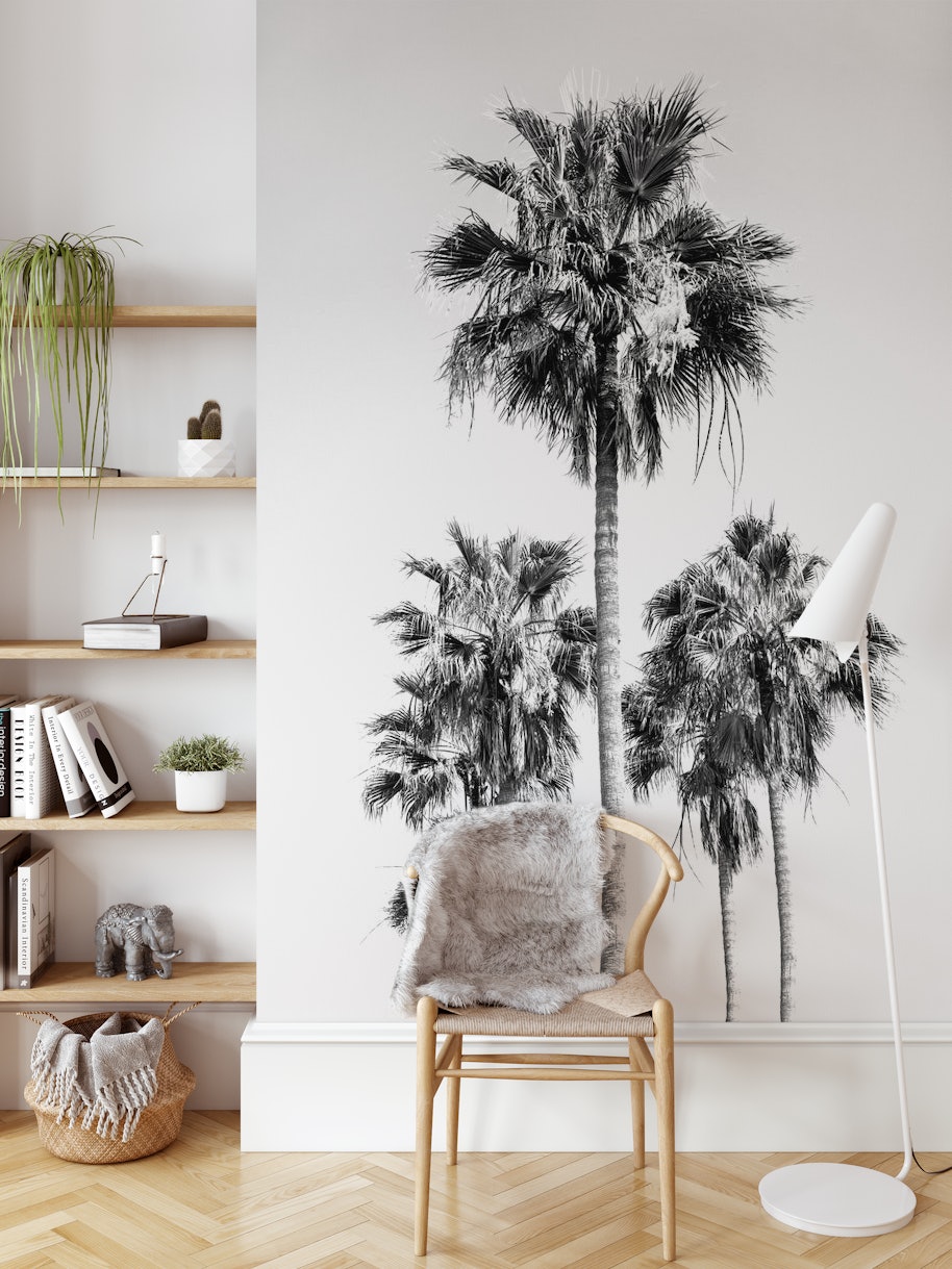 Flikkeren buffet Schrijf een brief Palm Trees Black White Vibes 8 Wallpaper - Buy Online | Happywall