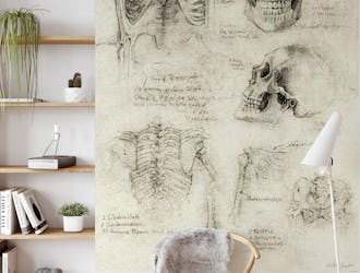 Skeleton sketches