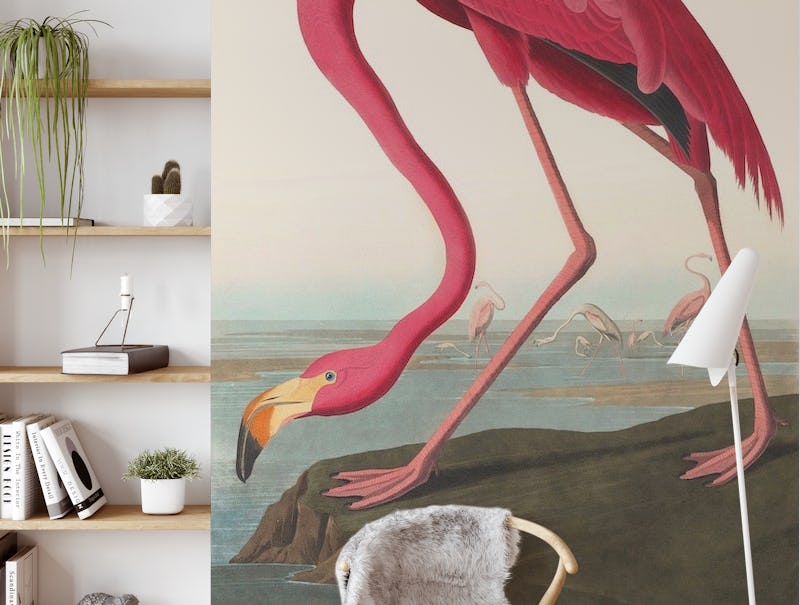Vinatge Flamingo Illustration