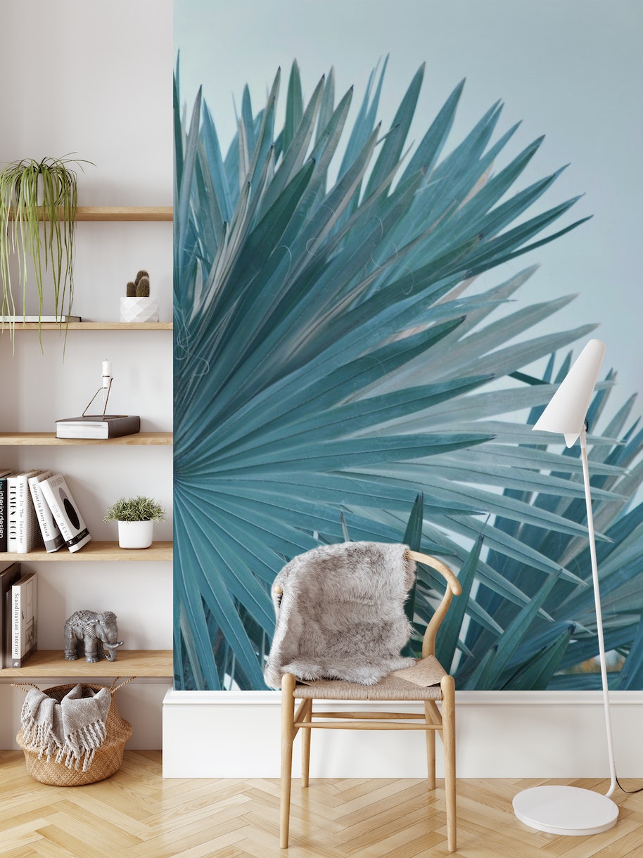 Soft Bismarck Palm Leaf 2 wallpaper