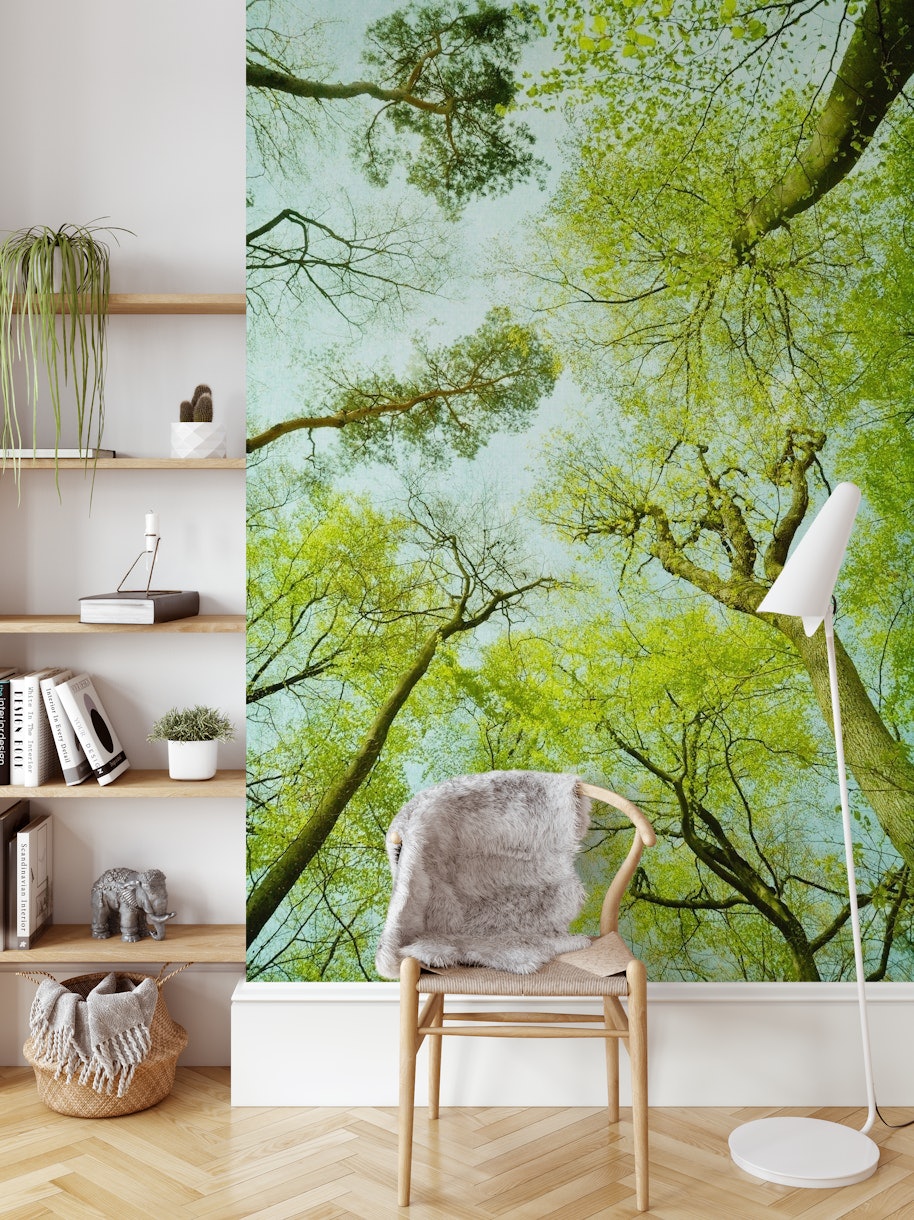 Spring treetops wallpaper
