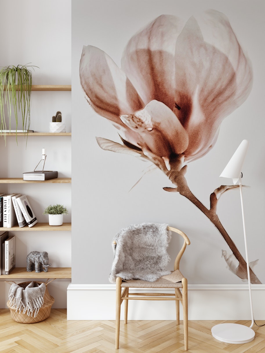 Blooming Magnolia wallpaper