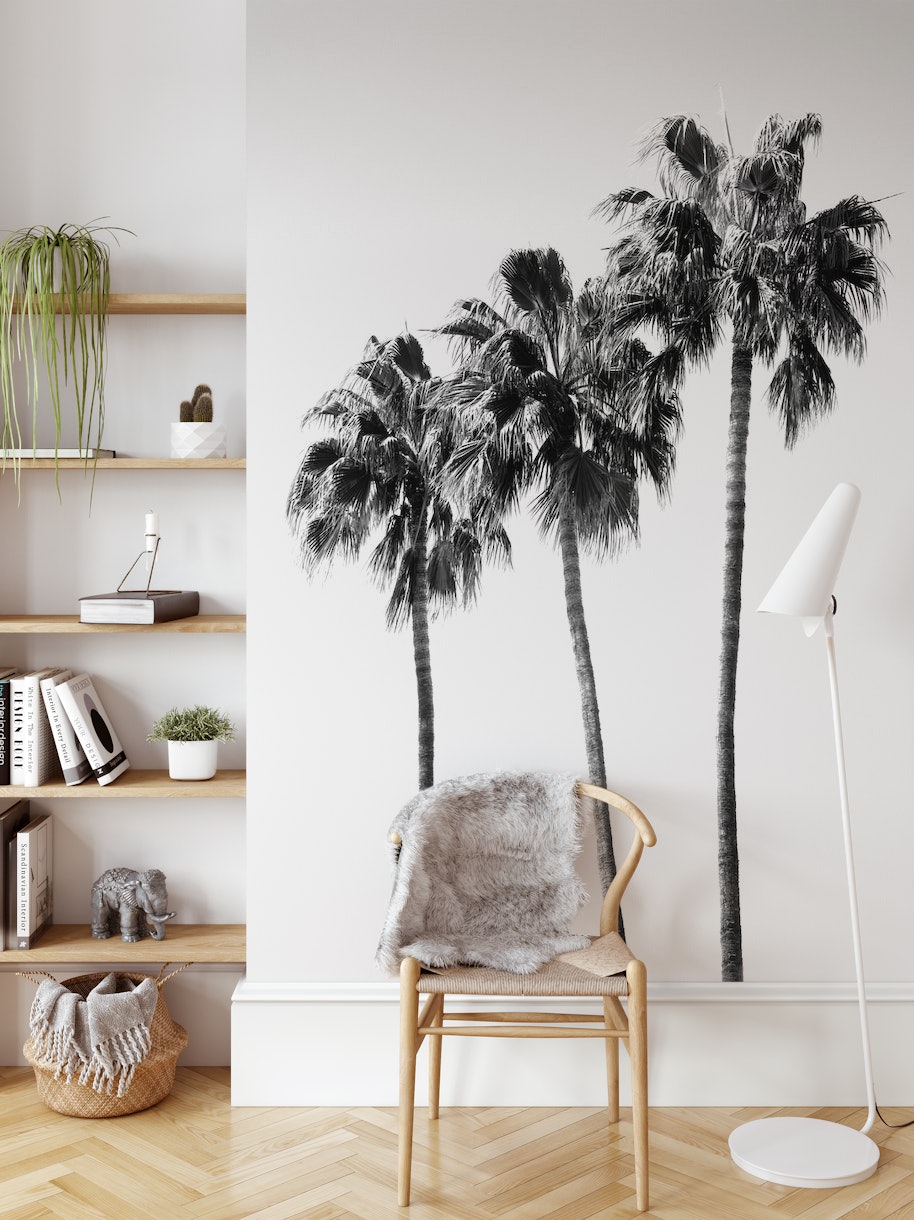 Palm Trees Black White 4 wallpaper