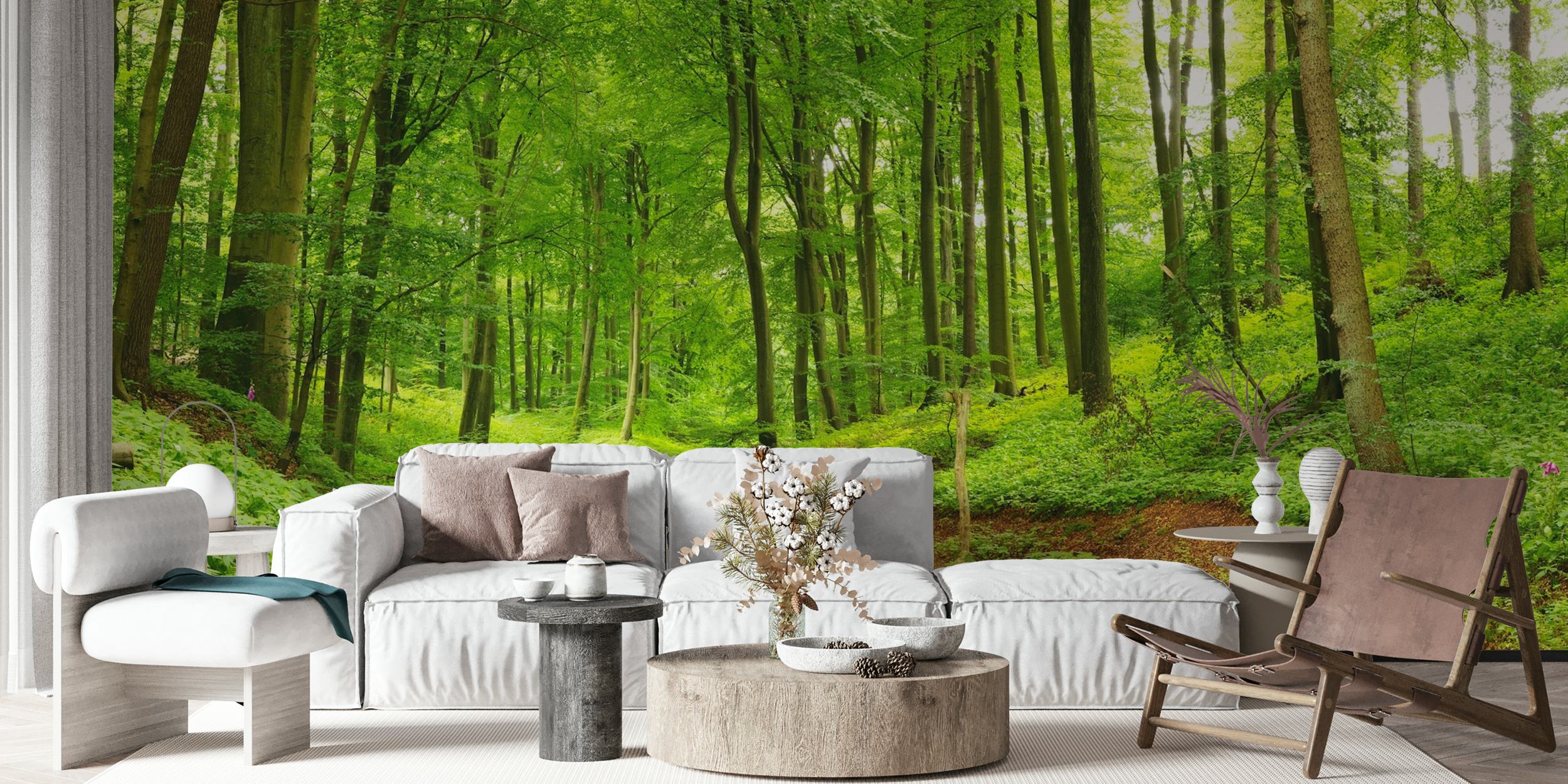 Paisagem florestal de verão com árvores verdes exuberantes e um caminho sinuoso