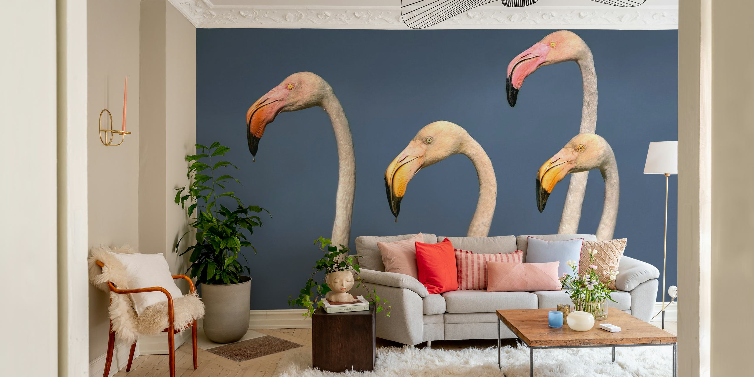 Flamingos Close Up wallpaper