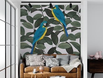 Parrots and ficus