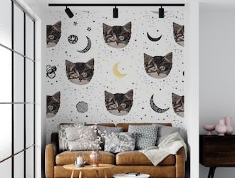 Cute cats and space