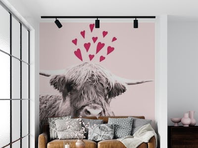 Highland Cow Valentines Day 1