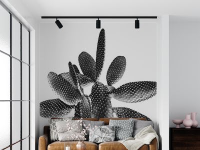 Black White Cactus 1