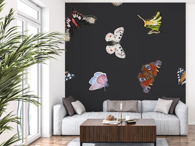 Butterflies dark