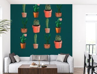 Various Cacti Green