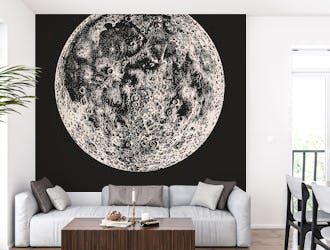 Full Moon - Vintage Astër