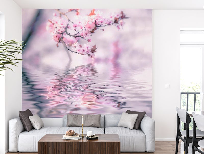 Cherry Blossom And Water