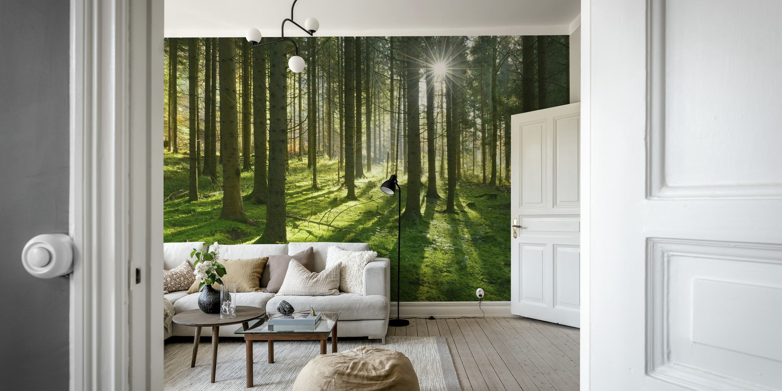 Green Forest Wallpaper - Buy Now on Happywall