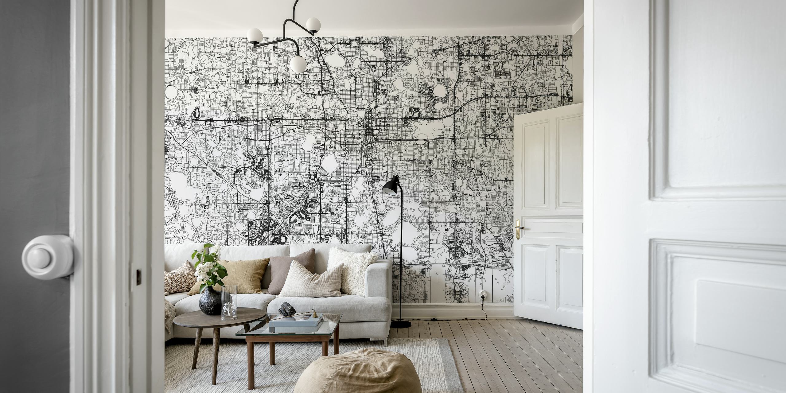 Orlando Map wall mural showing intricate street layouts and geographical features