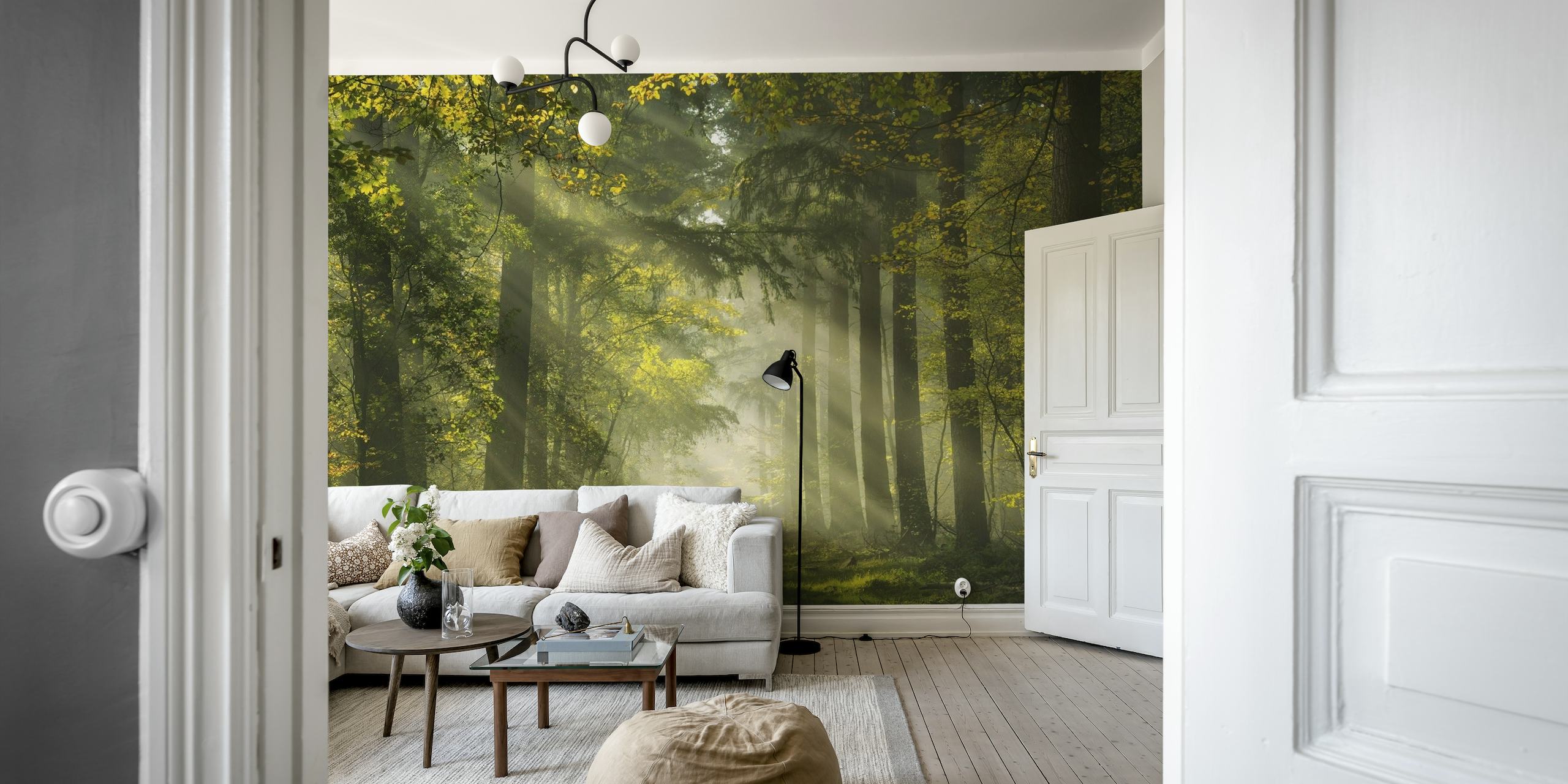 Dutch forest with beautiful sunrays papel pintado