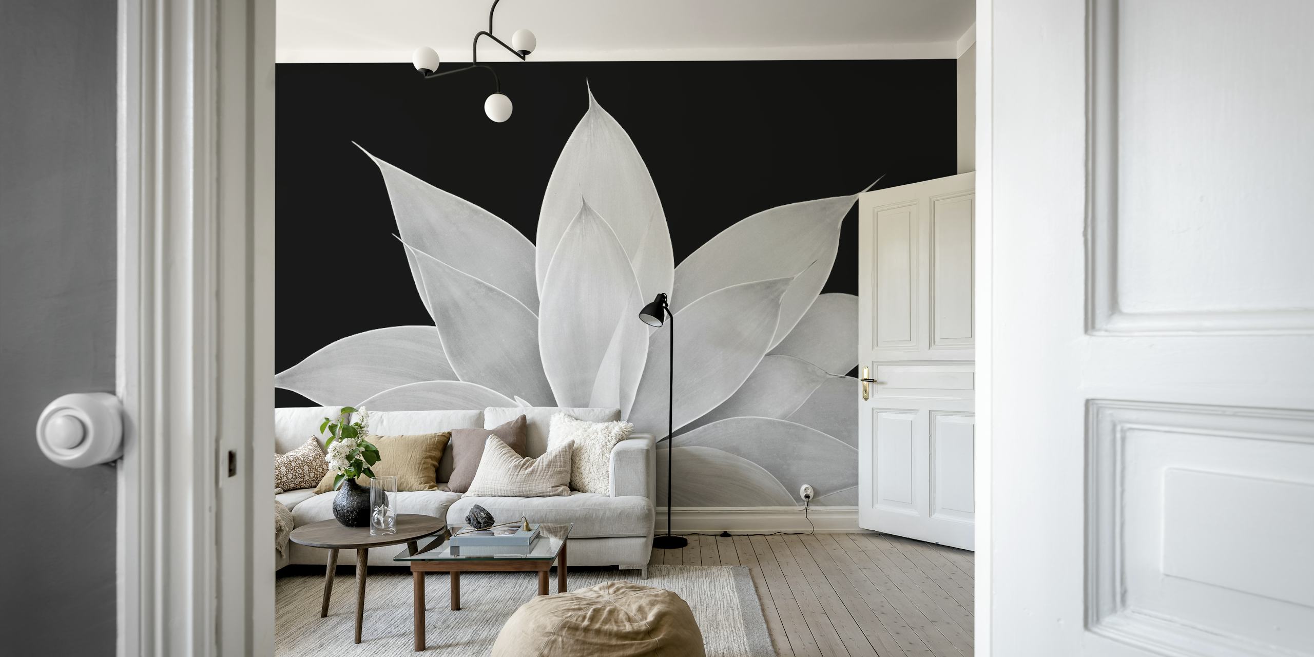 Okenní tapeta Gray Agave v místnosti